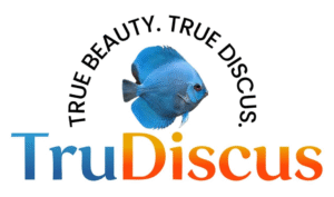 Picture of TruDiscus
