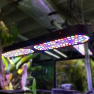 45 Inch Full Spectrum Planted Tank LED system With Timer